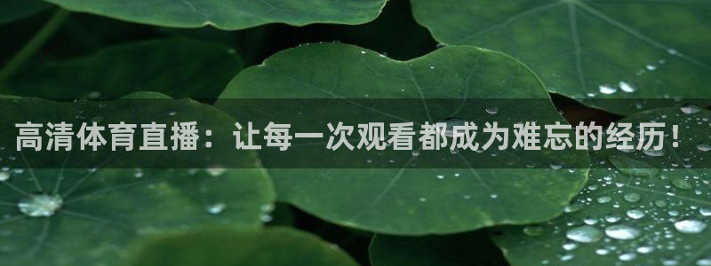 足球黑白直播：高清体育直播：让每一次观看都成为难忘的经历！