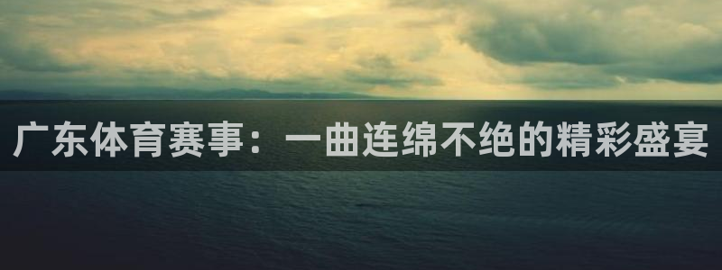 黑白体育nba直播免费观看：广东体育赛事：一曲连绵不绝的精彩盛宴
