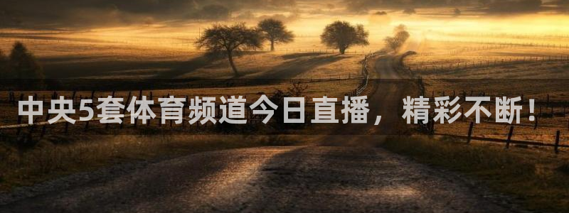 黑白体育在线直播免费观看：中央5套体育频道今日直播，精彩不断！