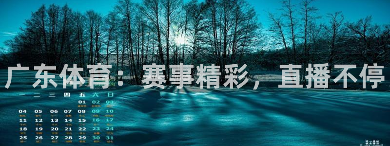 黑白体育在线直播：广东体育：赛事精彩，直播不停