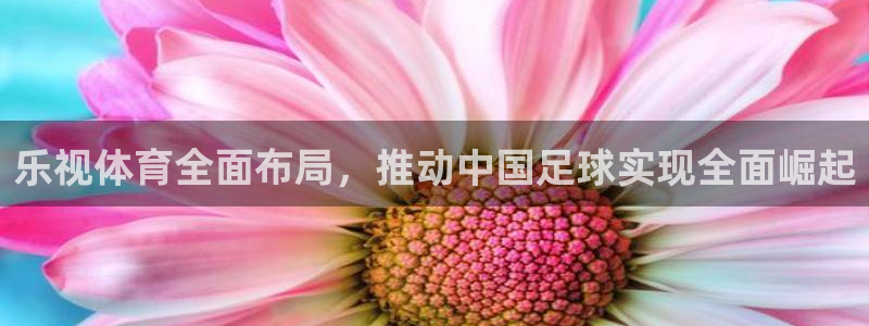 黑白直播体育nba直播下载：乐视体育全面布局，推动中国足球实现全面崛起
