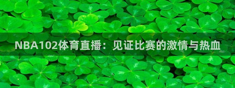 黑白直播吧nba：NBA102体育直播：见证比赛的激情与热血