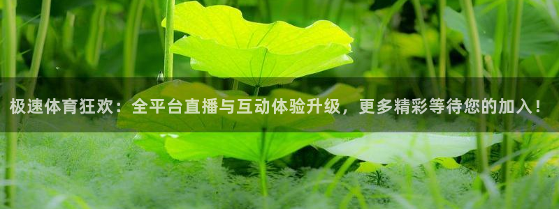 黑白体育直播在线看